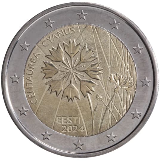 Estonia 2024: The cornflower – Estonian national flower